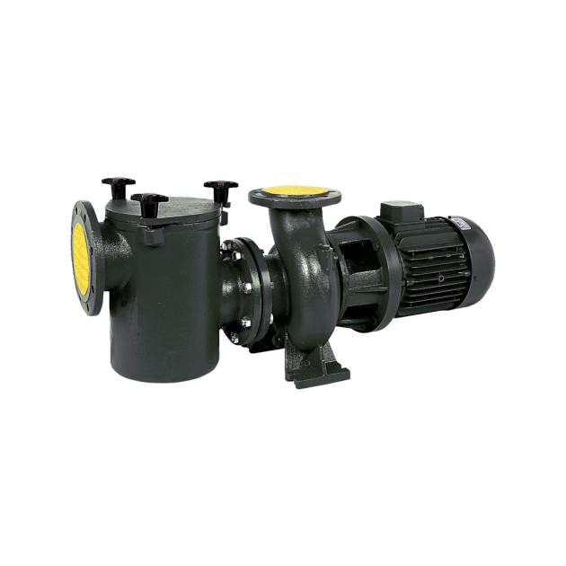 CFH20502